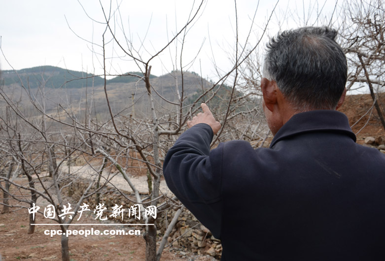 村民張?zhí)附o記者，遠處那座山就是老支書朱彥夫深夜爬上去考察村貌的山頭。也就是在那座山上，朱彥夫在上山下山的路上，不知摔了多少次，不知受了多少傷。人民網(wǎng)記者高雷 攝