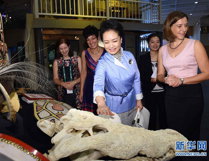 11月16日，中國國家主席習(xí)近平夫人彭麗媛在布裡斯班參觀昆士蘭州博物館。 新華社記者 饒愛民 攝