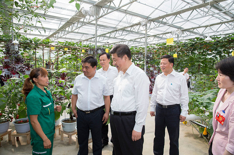 16日下午，習(xí)近平在遵義縣楓香鎮(zhèn)花茂村的現(xiàn)代高效農(nóng)業(yè)智能溫控大棚，向正在勞動(dòng)的村民了解增收致富情況。新華社記者 黃敬文 攝