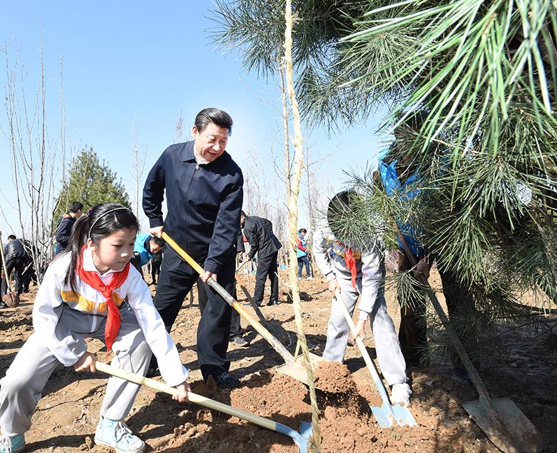 這是習(xí)近平同大家一起植樹。新華社記者 張鐸 攝