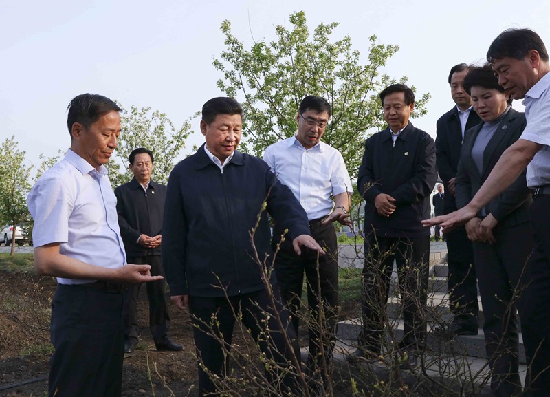 5月23日至25日，中共中央總書記、國家主席、中央軍委主席習近平在黑龍江考察調研。這是5月23日下午，習近平在伊春友好林業(yè)局萬畝藍莓產業(yè)園察看藍莓種植情況。 新華社記者 蘭紅光 攝