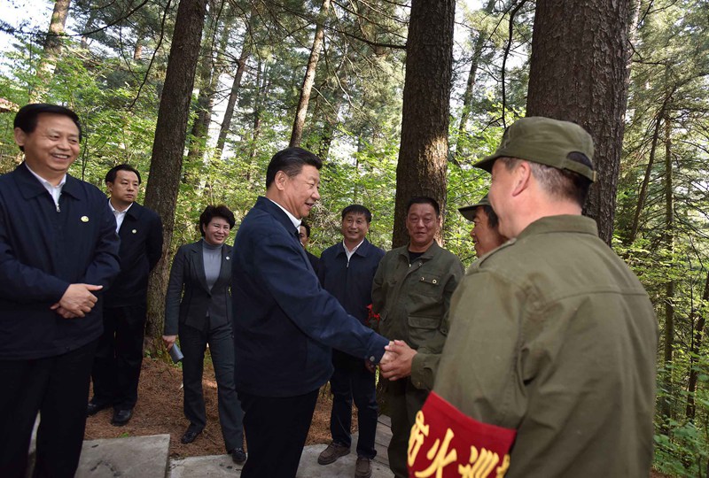 5月23日至25日，中共中央總書記、國家主席、中央軍委主席習(xí)近平在黑龍江考察調(diào)研。這是5月23日下午，習(xí)近平在上甘嶺林業(yè)局溪水國家森林公園視察時，叮囑林場工作人員一定要把森林資源保護(hù)好。 新華社記者 李濤 攝