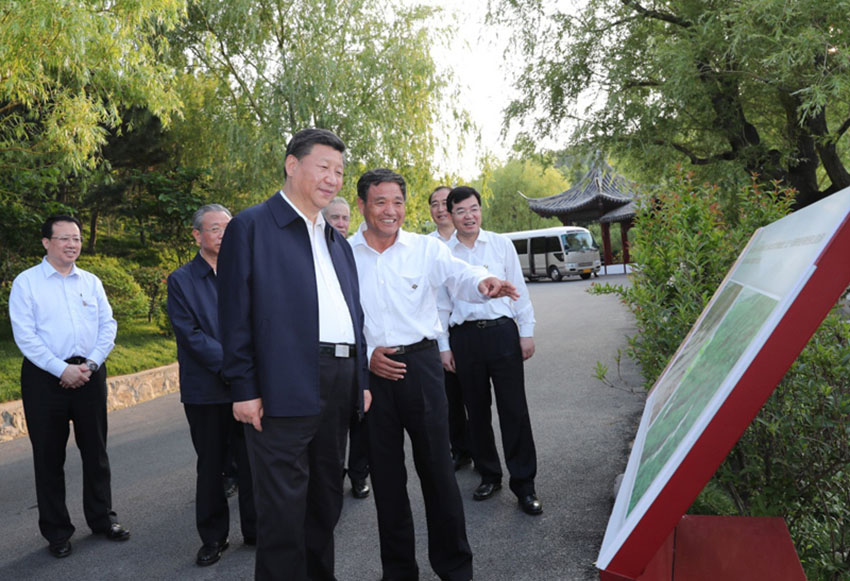 6月12日至14日，中共中央總書記、國(guó)家主席、中央軍委主席習(xí)近平在山東考察。這是12日下午，習(xí)近平在威海考察華夏集團(tuán)生態(tài)修復(fù)項(xiàng)目。新華社記者 謝環(huán)馳 攝