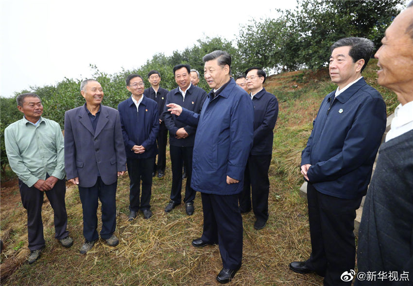 9月17日，中共中央總書記、國家主席、中央軍委主席習近平前往河南省光山縣司馬光油茶園和文殊鄉(xiāng)東岳村，考察調研當?shù)孛撠毠怨ぷ鞒尚Ш椭修k在光山縣扶貧工作情況，看望慰問老區(qū)群眾。這是習近平在司馬光油茶園同農民親切交流。 新華社記者 鞠鵬 攝