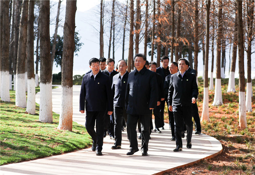 1月19日至21日，中共中央總書(shū)記、國(guó)家主席、中央軍委主席習(xí)近平來(lái)到雲(yún)南，看望慰問(wèn)各族干部群眾，向全國(guó)人民致以新春祝福。這是20日下午，習(xí)近平在昆明滇池星海半島生態(tài)濕地考察調(diào)研。新華社記者 鞠鵬 攝