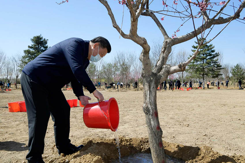 4月3日，黨和國家領(lǐng)導(dǎo)人習(xí)近平、李克強(qiáng)、栗戰(zhàn)書、汪洋、王滬寧、趙樂際、韓正、王岐山等來到北京市大興區(qū)舊宮鎮(zhèn)參加首都義務(wù)植樹活動(dòng)。這是習(xí)近平提水澆灌樹木。 新華社記者 龐興雷 攝